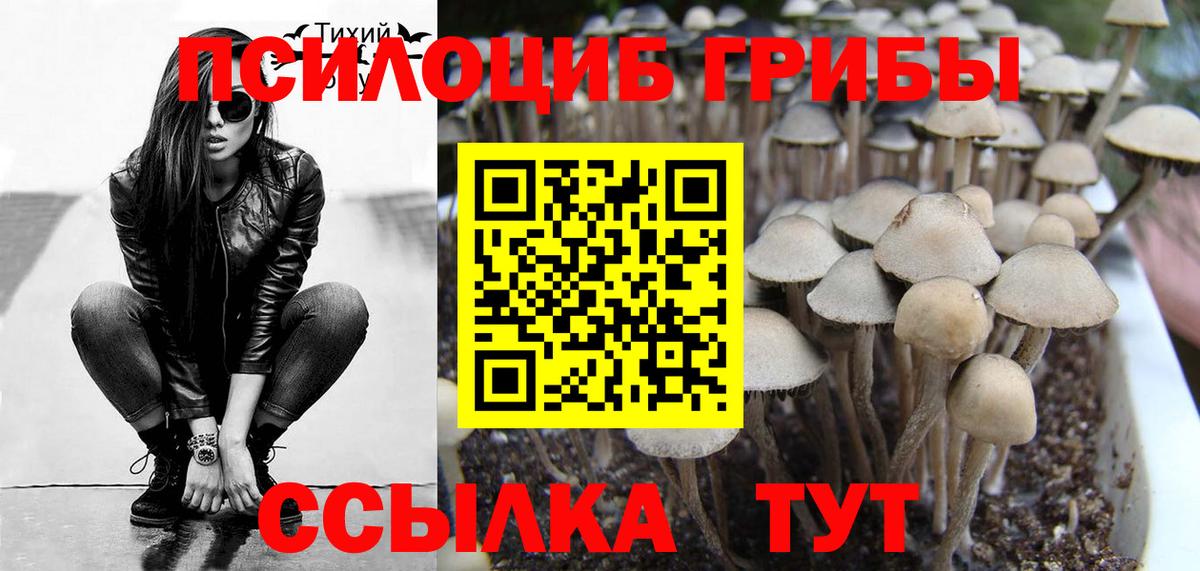 Галлюциногенные грибы мицелий Владивосток