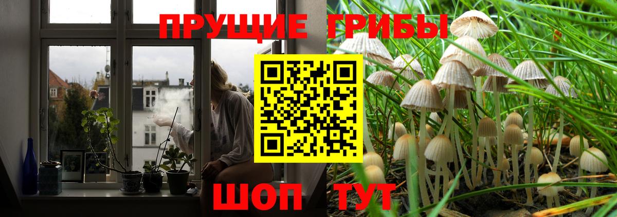 Галлюциногенные грибы мухоморы  Вход с VPN  Владивосток 